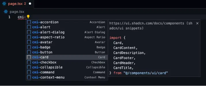 shadcnui Snippets