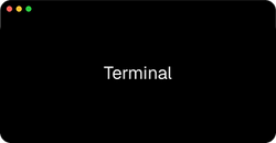 Terminal