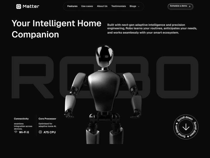 Landing Page Physical Product 1