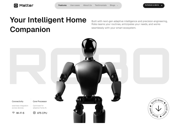 Landing Page Physical Product 1