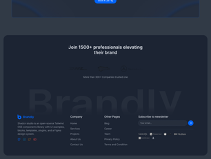 Agency Template 3