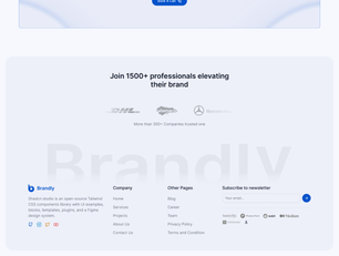 Agency Template 3